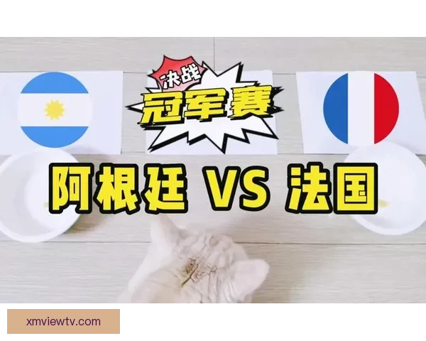 世界杯精彩对决全程预测与胜负走势深度解析指南