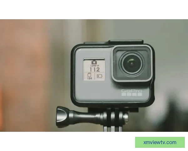 世界杯竞猜胜负投注策略解析与赛前数据分析技巧全面指南助你提升命中率 世界杯竞猜胜负投注策略解析与赛前数据分析技巧全面指南助你提升命中率